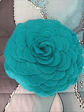 Teal accent pillow